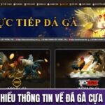 Đá gà cựa sắt